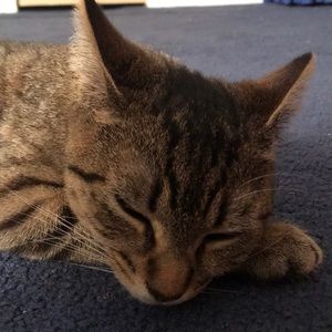 Meet your Posher, Rebecca